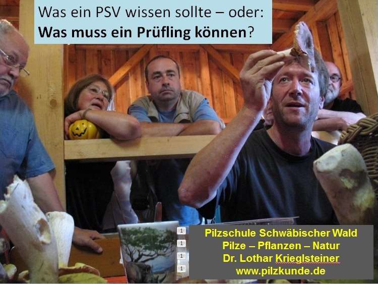 PSV-Ausbildung. Inhalte